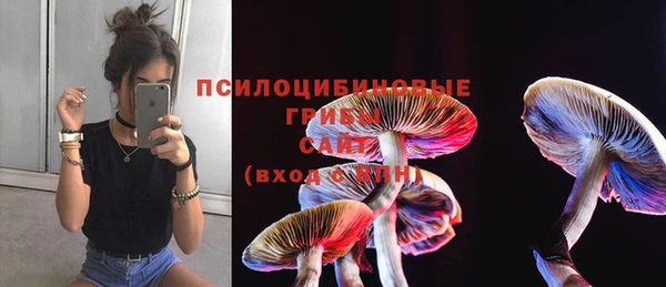 гашик Володарск