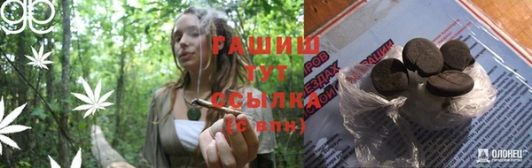 гашик Володарск